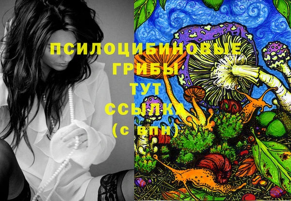 меф Переславль-Залесский