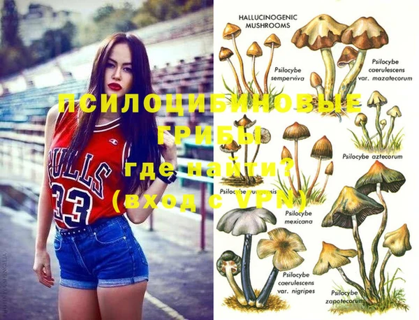 скорость Пересвет